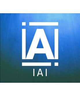 IAI 2025 Steam Key GLOBAL